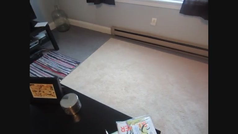 Click to play video carpet pee