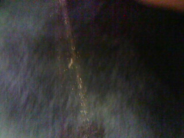 Click to play video Carpet piss puddle