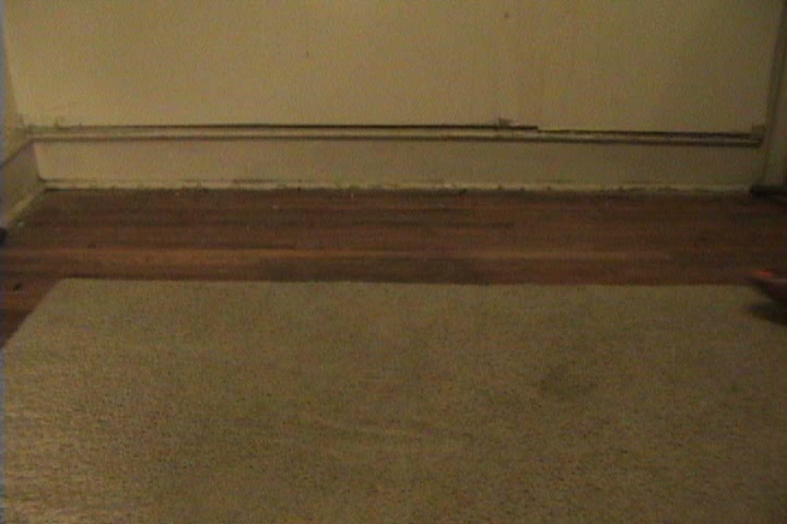 Click to play video Ebonycandiegirl Long Pee on Rug