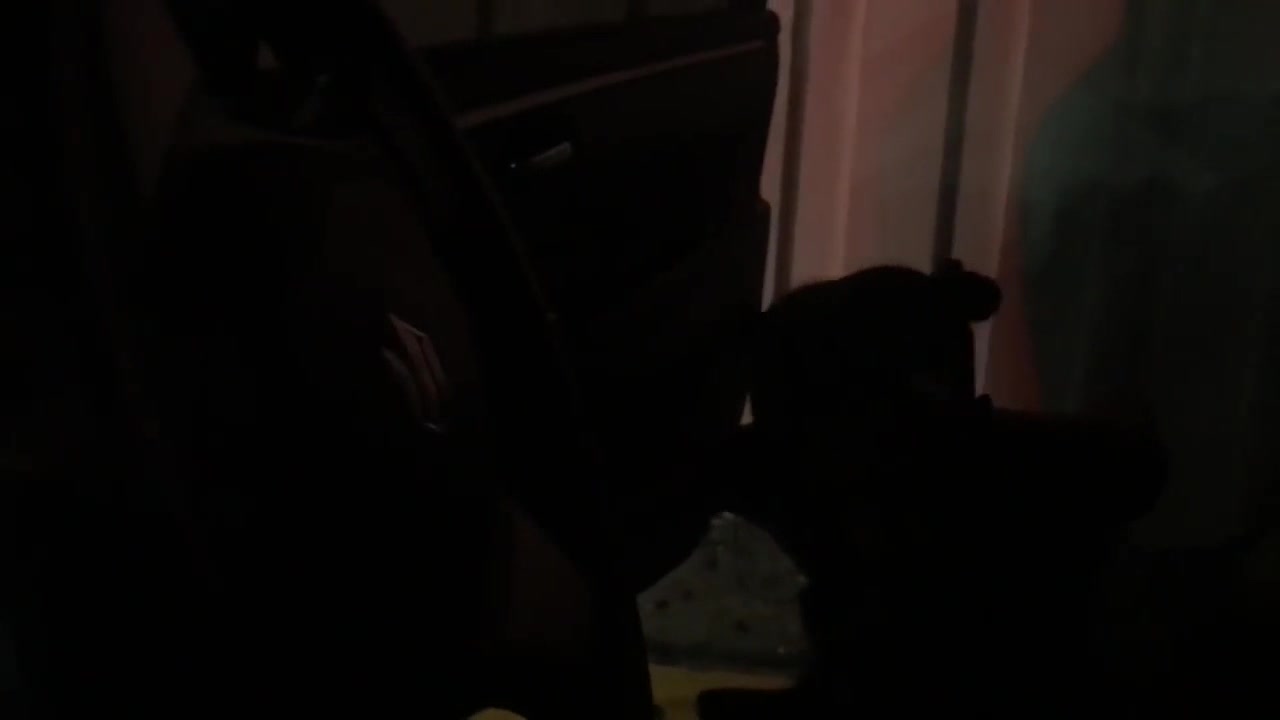 Click to play video Jamaica Vlog 16 - Peeing in Burger King parking lot (PEE CUT)
