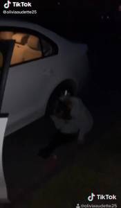 Click to play video . . . girl peeing next to a car on the road