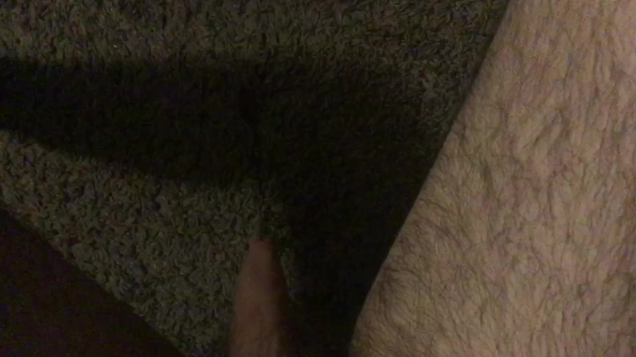 Click to play video The carpet is my toilet
