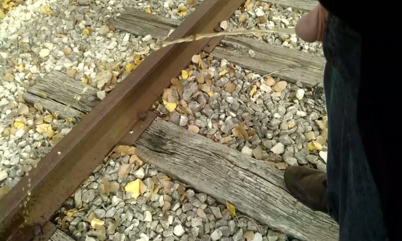 Click to play video Train Tracks