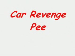 Click to play video Car Revenge Pee