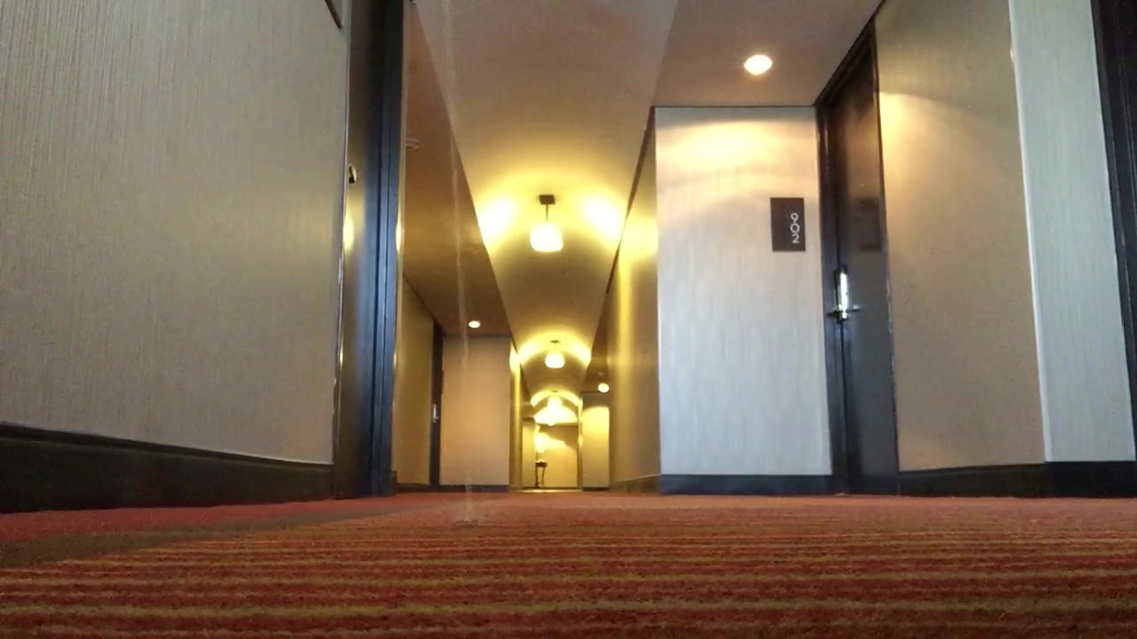 Click to play video hotel hallway
