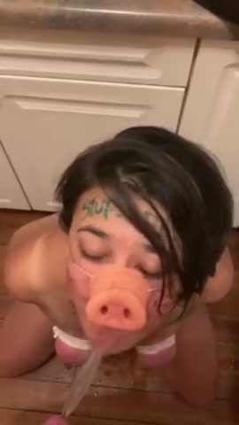 Click to play video Pig girl drink piss and lick it from floor