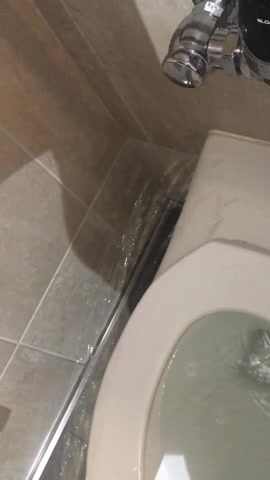 Click to play video TOILET MESS 2